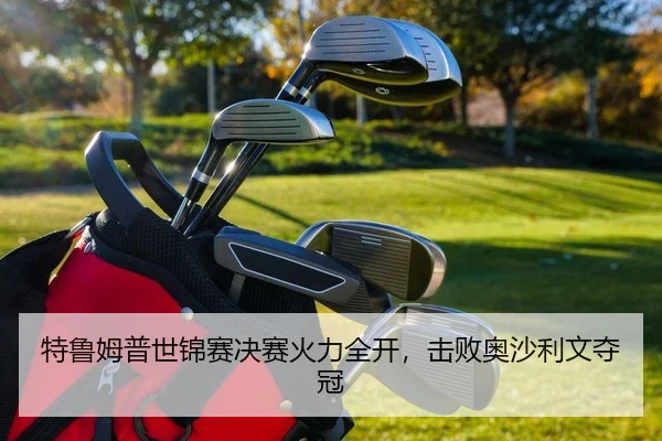 te-lu-mu-pu-shi-jin-sai-jue-sai-huo-li-quan-kai-ji-bai-ao-sha-li-wen-duo-guan-2-511.jpg